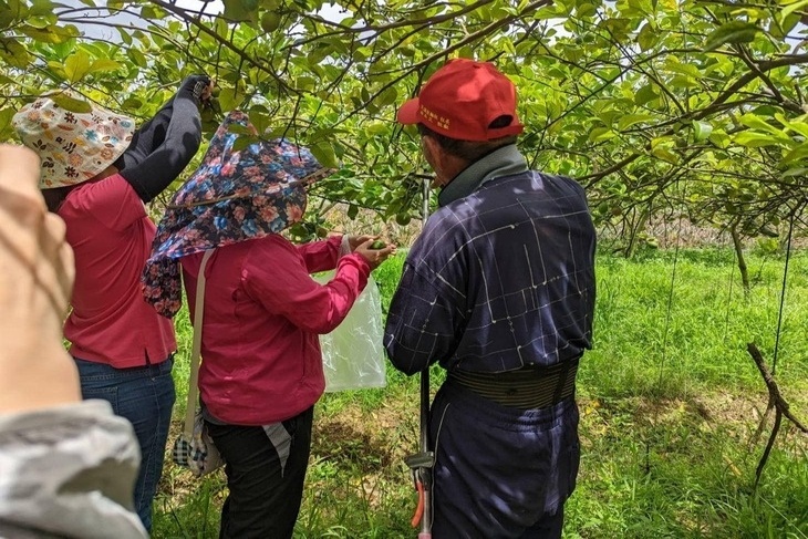 讓關懷走入社區-支持嘉義孤獨長者