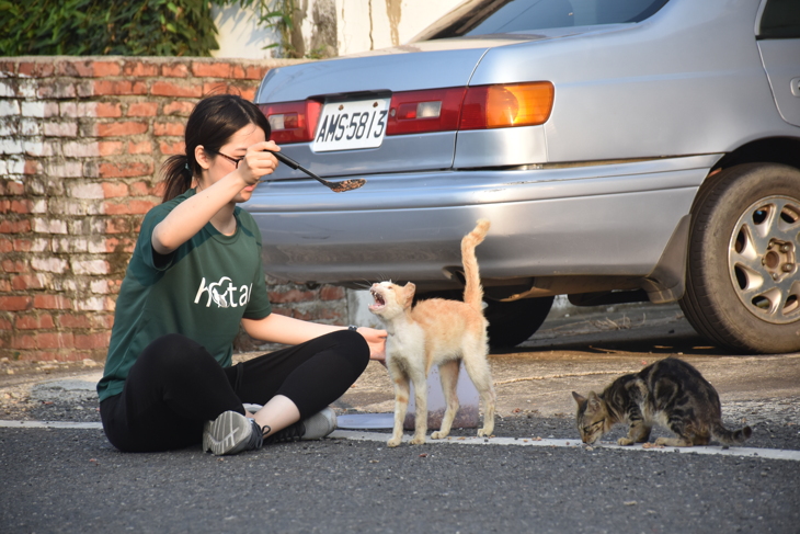 一起夢想－流浪犬貓絕育計畫