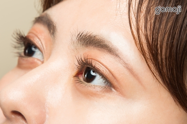 Apple Lash
