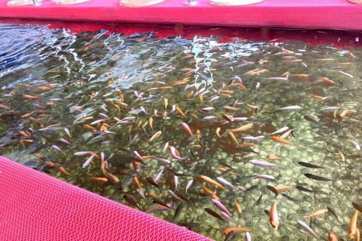 金山海灣溫泉會館