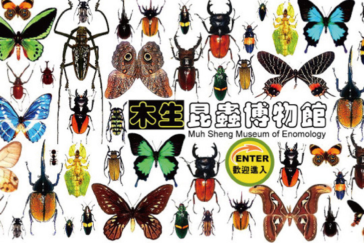 木生昆蟲博物館