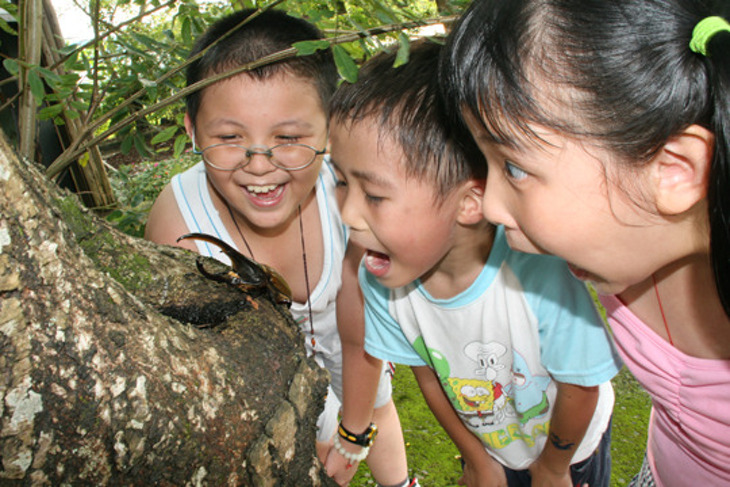 木生昆蟲博物館