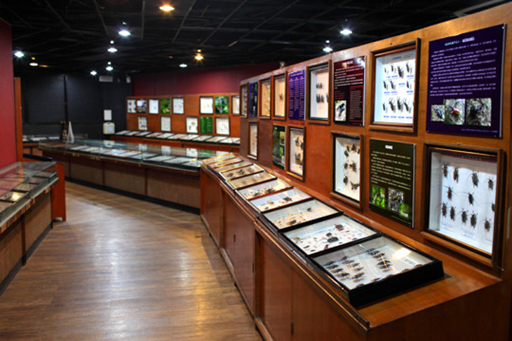 木生昆蟲博物館