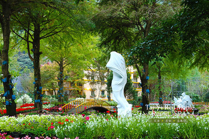 南投-楓樺台一渡假村