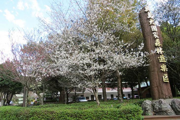 廬山溫泉-夏都大飯店