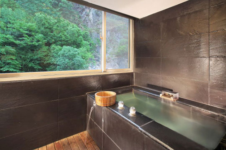 南投-廬山園游泳池風呂館