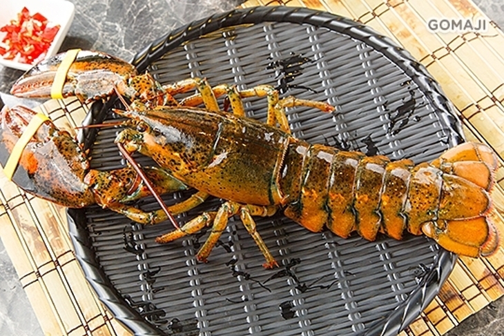 蒸饗宴養身鍋物-複合式餐廳(竹北店)