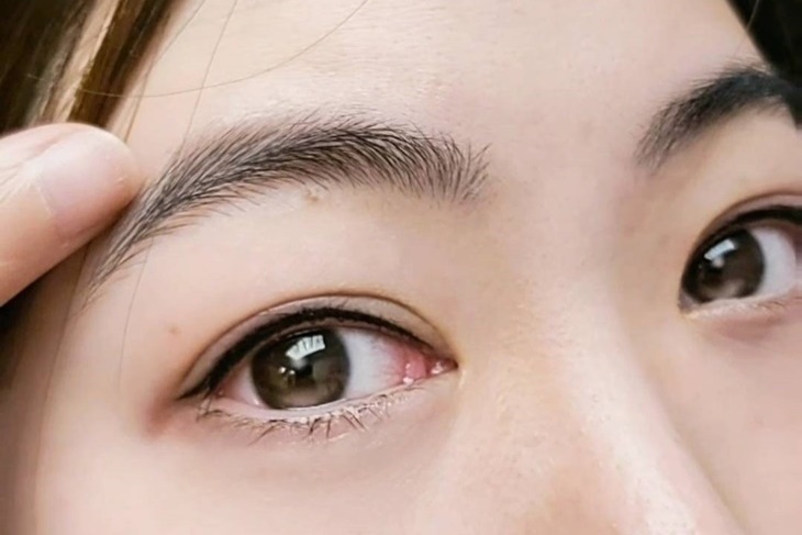 Ms EyebrowLash 眉睫物語