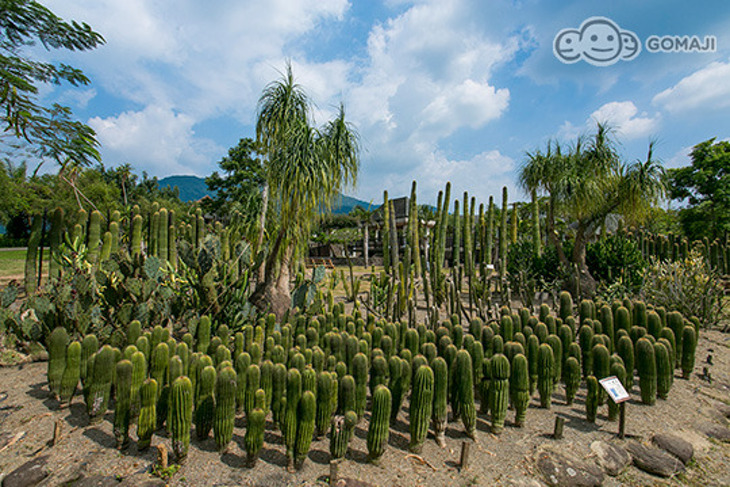 屏東三地門-大路觀主題樂園
