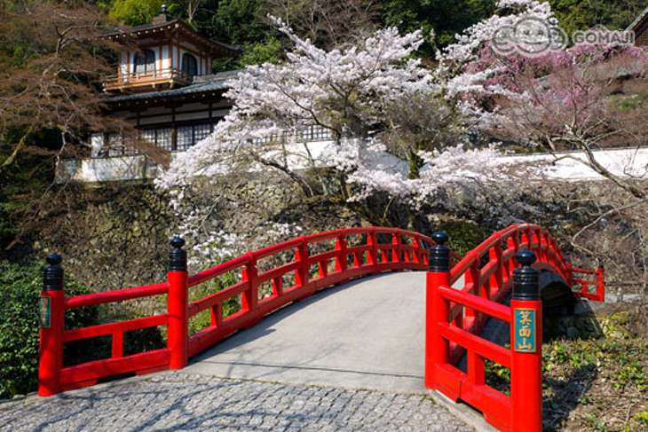 日本-大阪周遊卡Osaka Amazing Pass