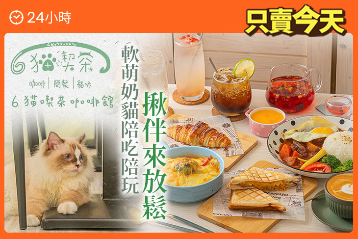6猫喫茶