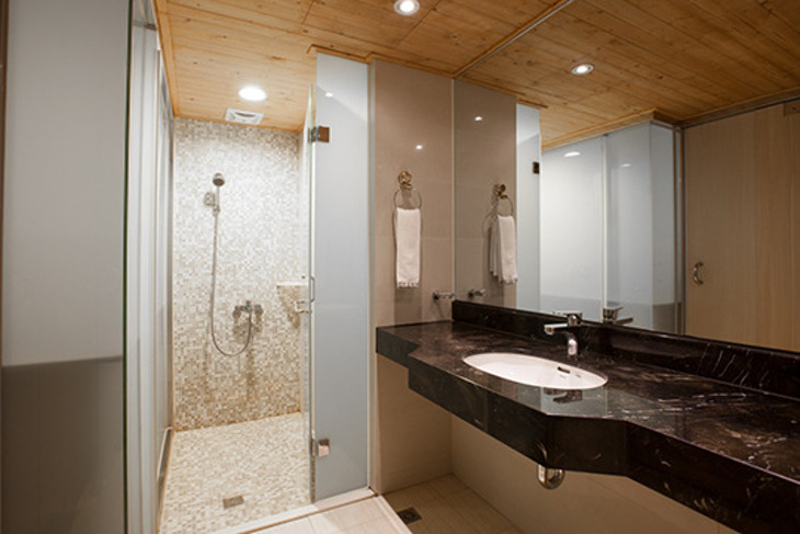 台中-愛麗西施商務飯店