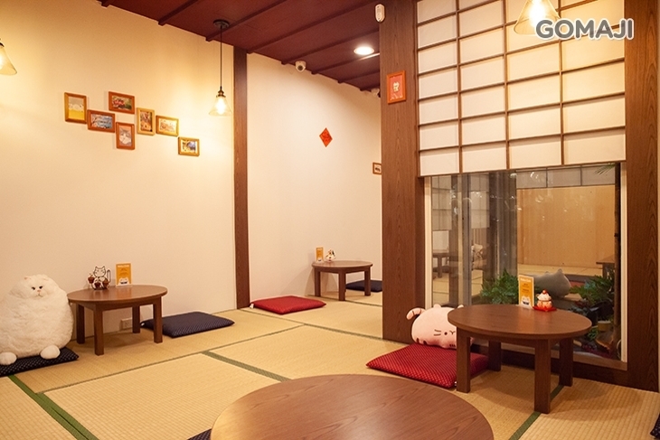 Neko cafe