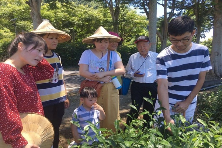 偏愛旅行