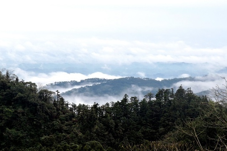 新竹風雅月筑(淇岄 淇邑)莊園