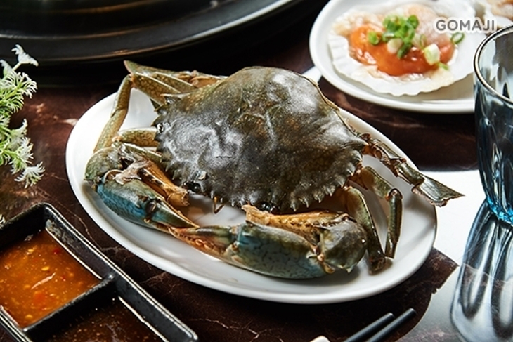 蒸任性-活體海鮮養生蒸氣鍋