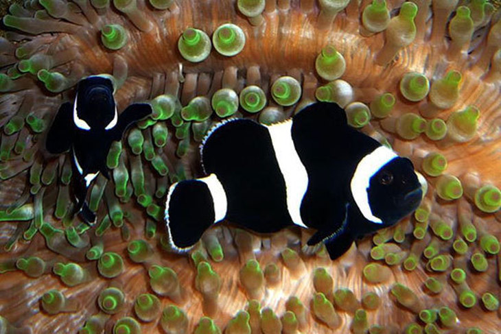 台東海洋夢想館