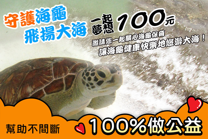 一起夢想－守護海龜，飛揚大海