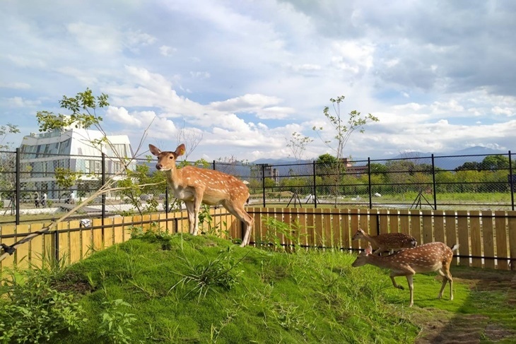 宜蘭天使星夢渡假村