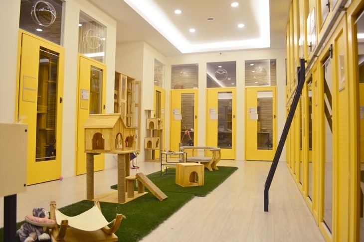 台南-牧貓精品寵物旅館