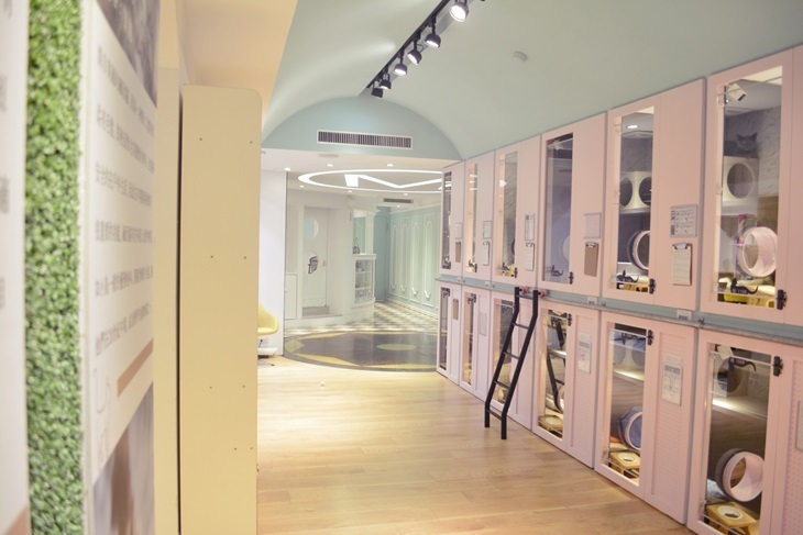 台南-牧貓精品寵物旅館