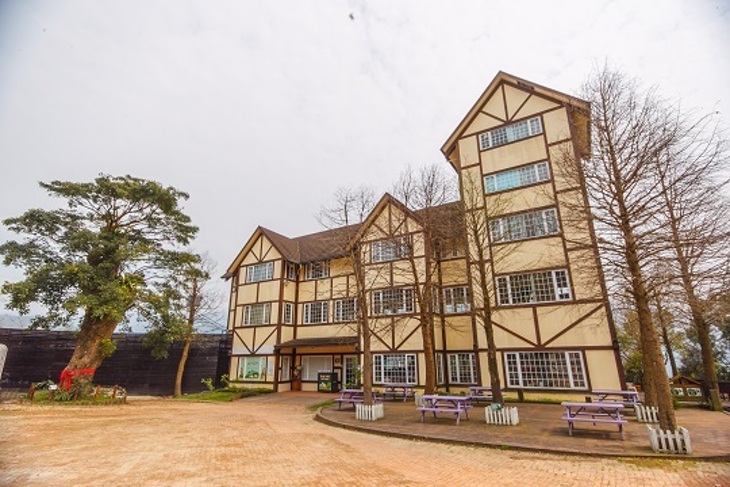 桃園-綠光森林富野綿羊牧場