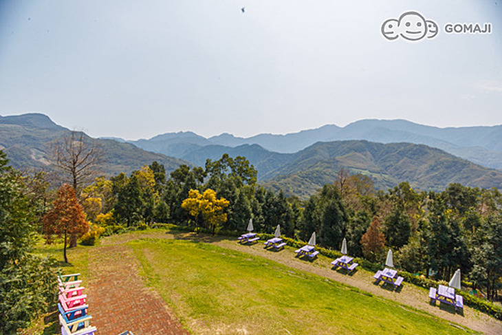 桃園-綠光森林富野綿羊牧場