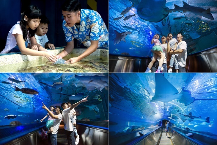 花蓮-遠雄海洋公園