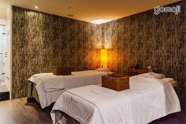 VIVISPA