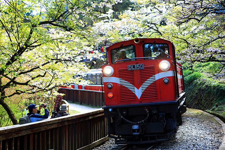 北中南皆可出發！2017一起迎曙光阿里山夜未眠(四排椅)