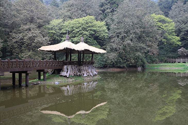 北中南皆可出發！2017一起迎曙光阿里山夜未眠(四排椅)