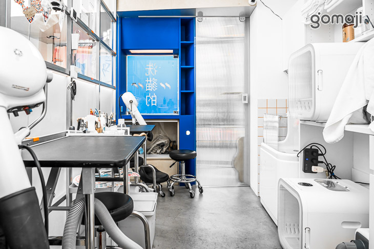 a bathing cat貓毛很多(台中店)