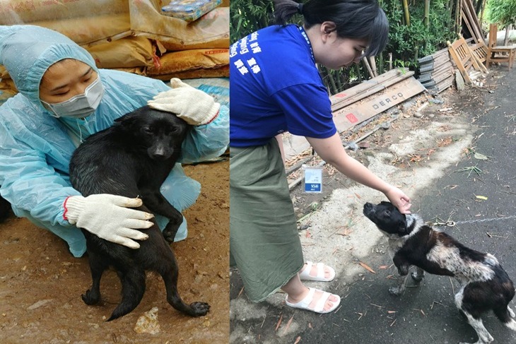 一起夢想–動物防虐案件調查