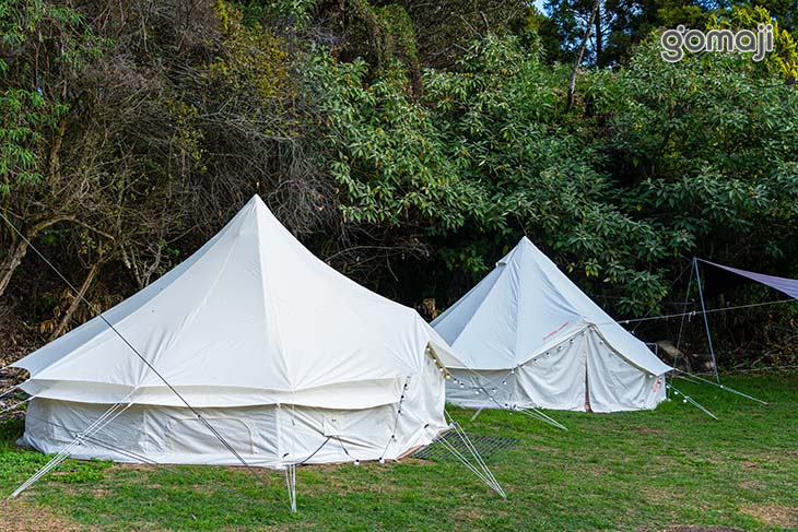 南投-茶野裡山野露營(清境小瑞士花園)