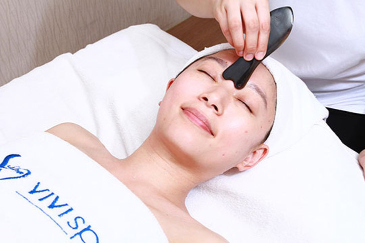 VIVISPA
