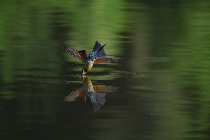 (台中場) 2020 SKM PHOTO 新光三越國際攝影聯展