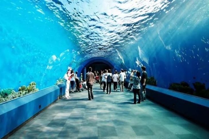 曼谷暹羅海洋世界門票Sea Life Bangkok Ocean World