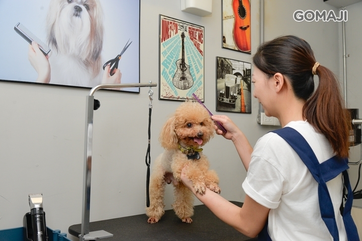 Just Love 就是愛寵物精品旅館 & 就是愛寵物鮮食