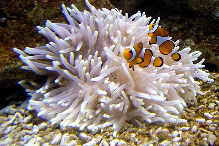 萬里-野柳海洋世界