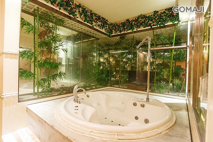 桃園-天鵝湖SPA汽車旅館