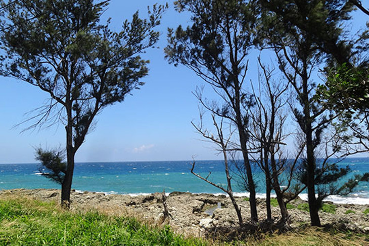 墾丁-幸福海民宿