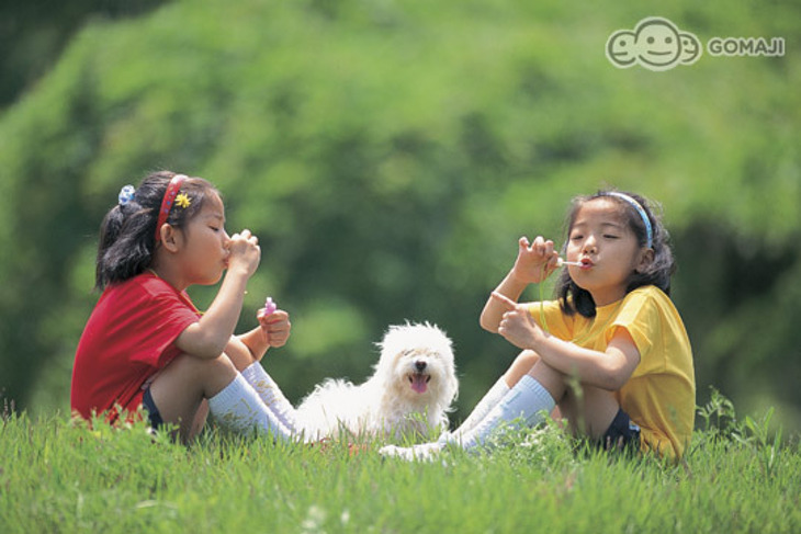 台東-彩虹莊園民宿