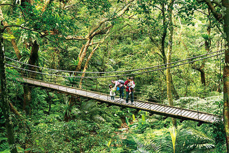 大板根森林溫泉酒店