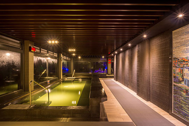 苗栗南庄-雲水度假森林