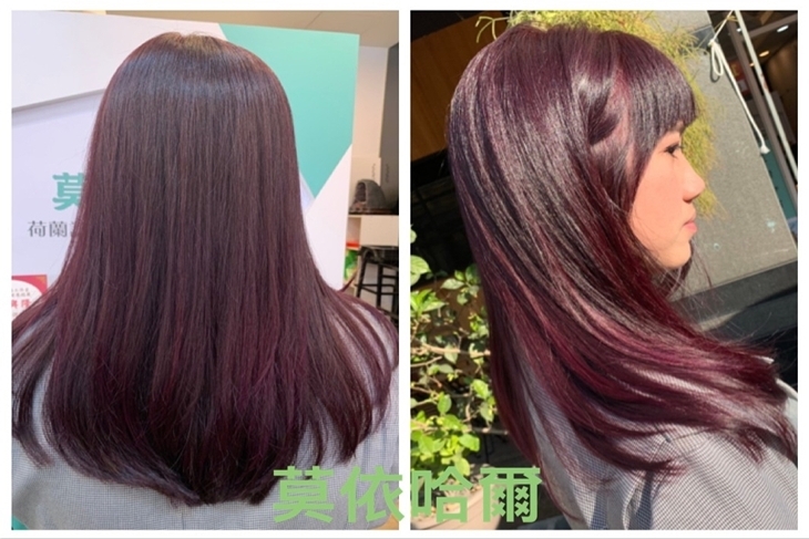 莫依哈爾髮藝工作室