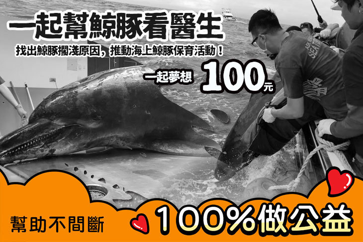 一起夢想－一起幫鯨豚看醫生