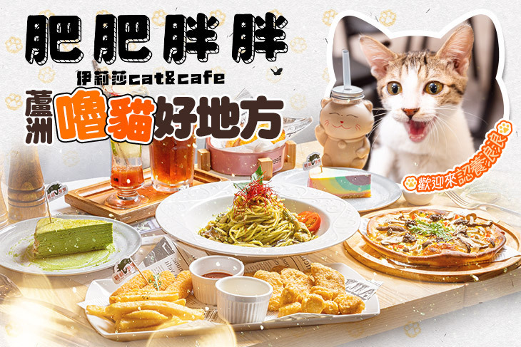 伊莉莎肥肥胖胖Cat.Cafe (中原店)