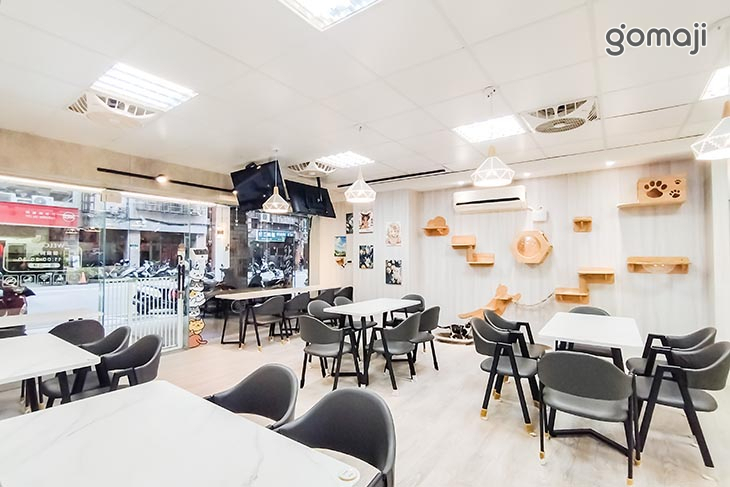 伊莉莎肥肥胖胖Cat.Cafe (中原店)