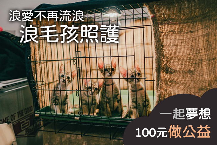 浪愛不再流浪，浪毛孩照護
