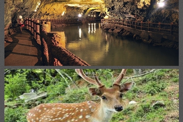 安心玩馬祖搭船4日(晚去早回)